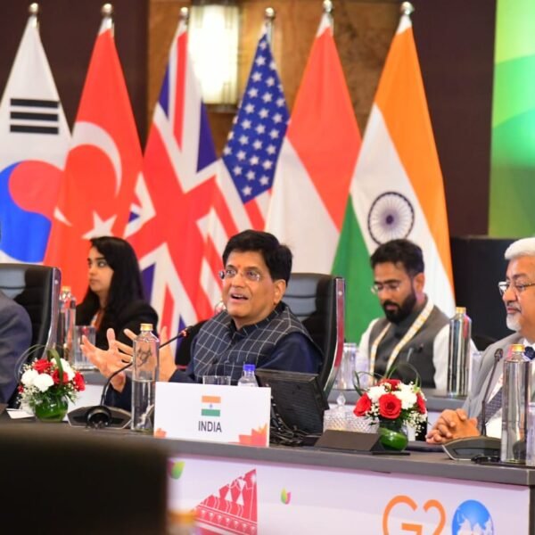 G20 Trade and Investment Working Group