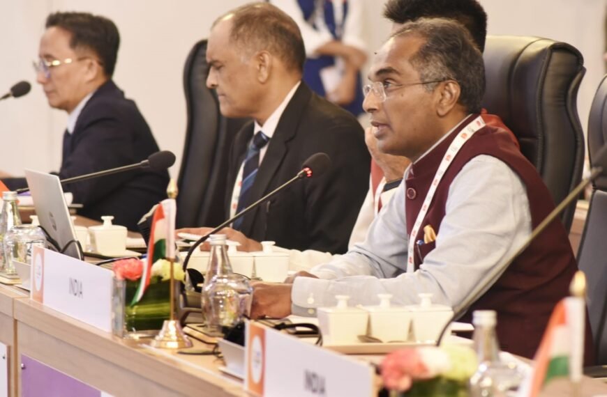 G20 member countries discuss Research Ministerial Declaration at the RIIG Summit today