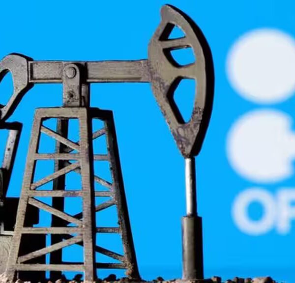India’s oil demand to grow 4% to 5.8 mbd in 2025: OPEC