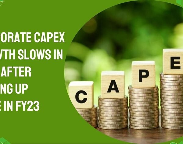 Corporate capex growth slows in FY24 after picking up pace in FY23