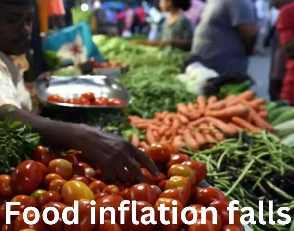 Food inflation falls to 13-month low to 5.42%