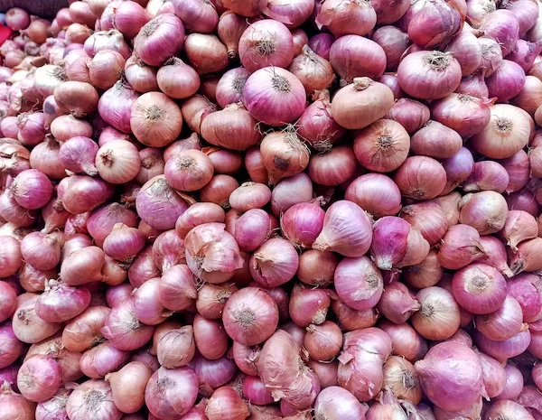 Centre removes minimum export condition on onions; effective immediately