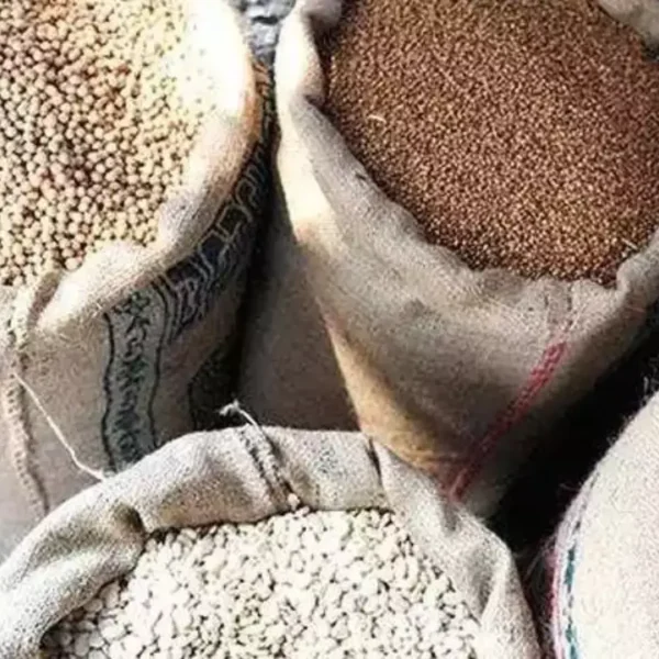 India’s foodgrain production hits record 332.22 MT in 2023-24: Govt: