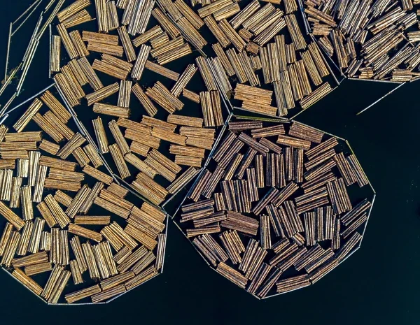 India set to gain from US tariffs on timber, lumber, kitchen cabinets